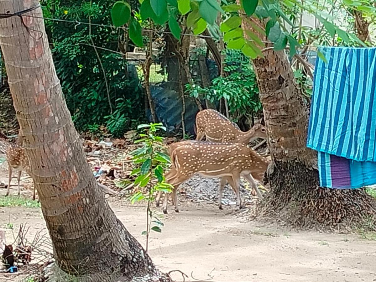 Priyanna Guest, Forest View โปลอนนารูวา ภายนอก รูปภาพ