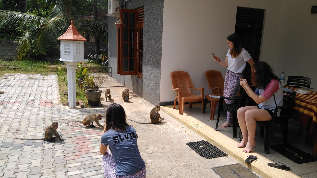 Priyanna Guest, Forest View โปลอนนารูวา ภายนอก รูปภาพ