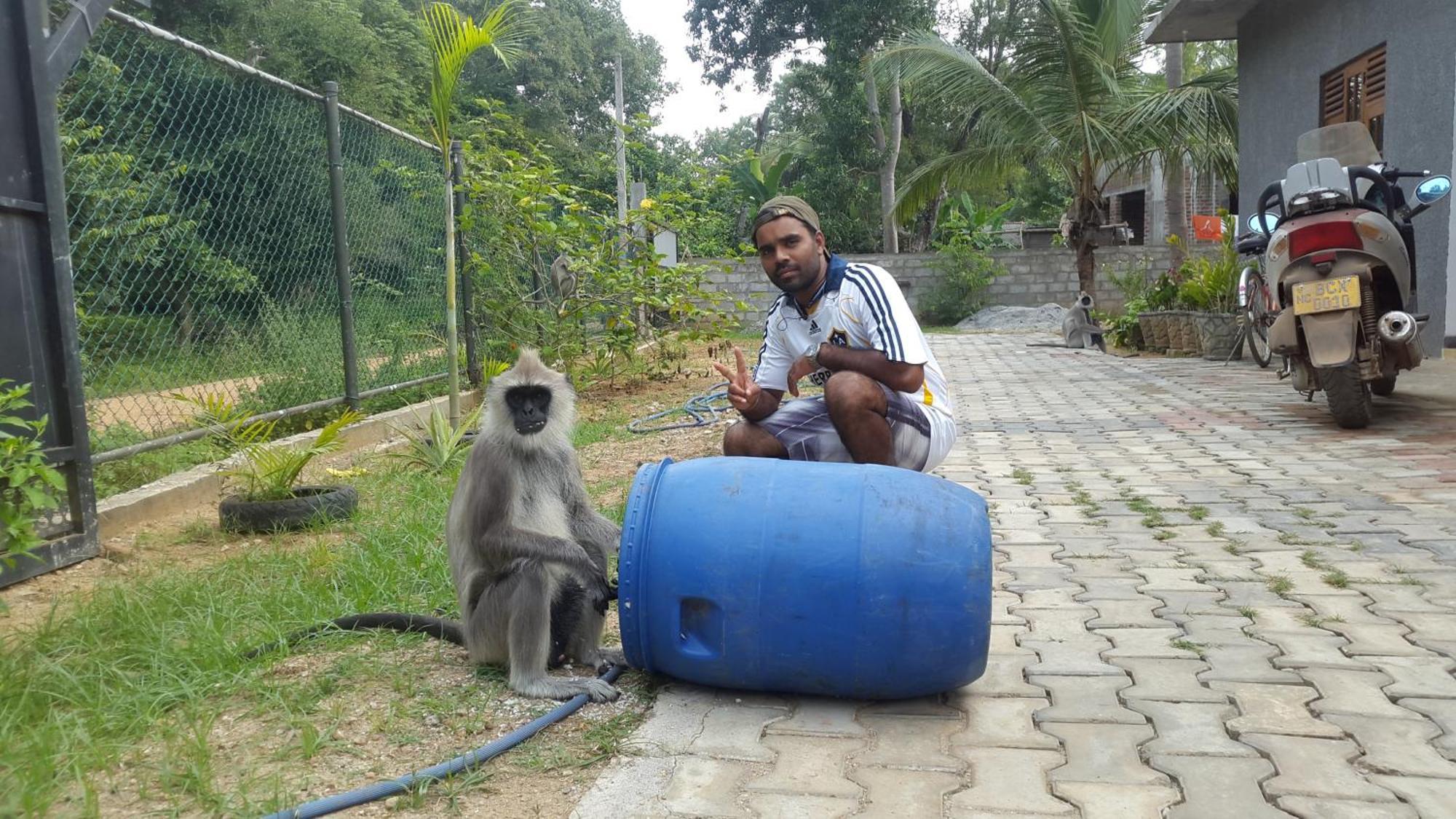Priyanna Guest, Forest View โปลอนนารูวา ภายนอก รูปภาพ